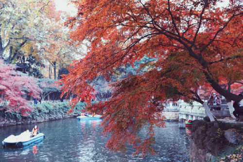 darkcloudsbrightskies:fuckyeahchinesegarden: Location: 常熟虞山 Chángshú Yúshān, co