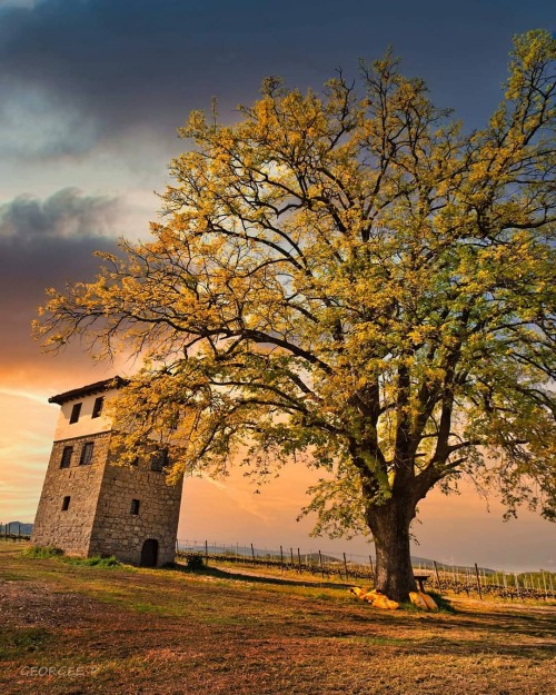 Kir-Yanni Winery, Náoussa, Greece by Georgee Petropoulos.