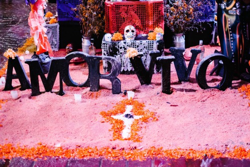 Día De Los Muertos, Tlaquepaque, Guadalajara, Jalisco, México