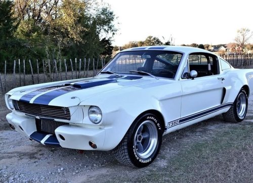 yourcarsstuff:  1966 T5 Mustang Fastback GT 350