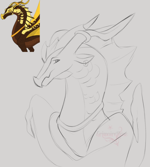 Some Sketch Work Of My Leafwing Thief Gold Leaf!