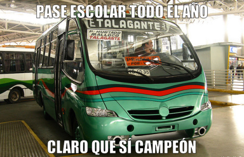 jaidefinichon:  viejos ql