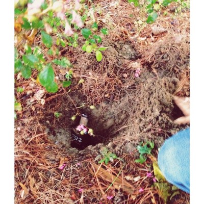 @southernlivingmag told us that burying a bottle of bourbon a month before the wedding will help keep the rain away. Here’s to hoping! (at Limuru Farm)