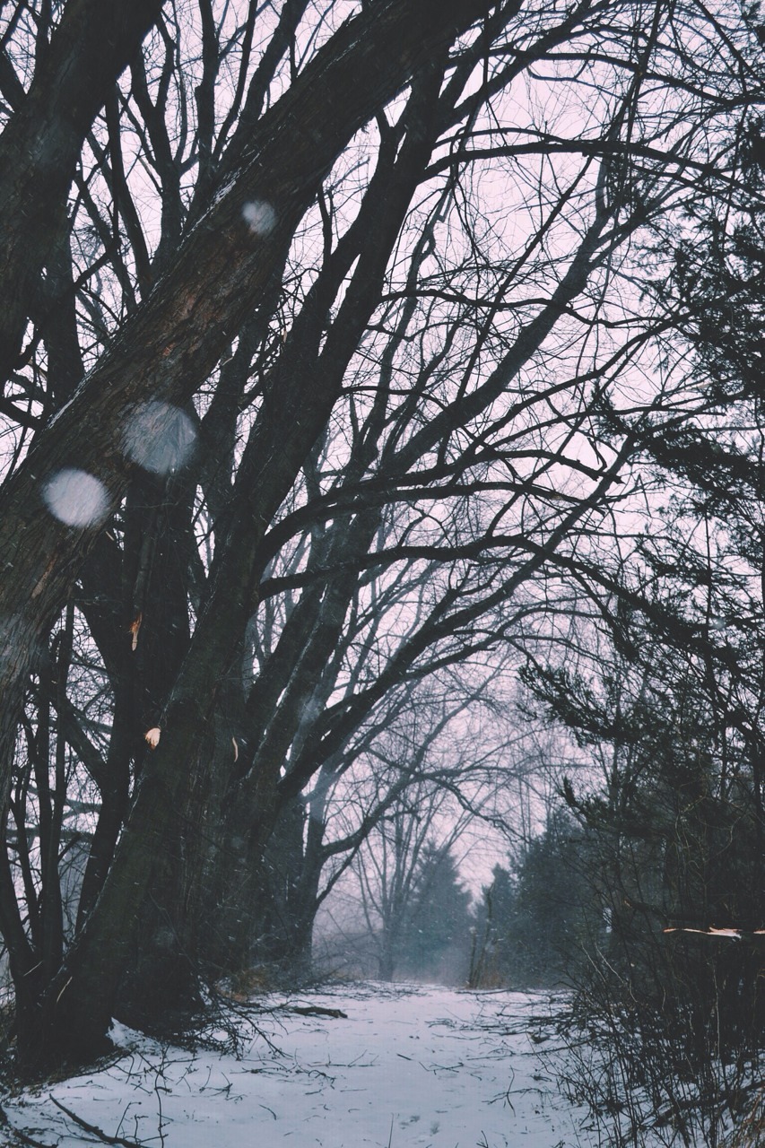 there is so much to see