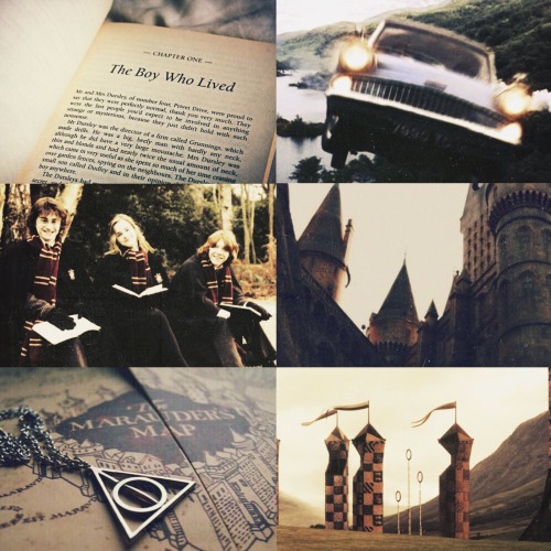 aesthetics-personalities: Celebration of the new Harry Potter book “…Help will always be given to th