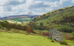 themceleste:  Swaledale by Katybun of Beverley