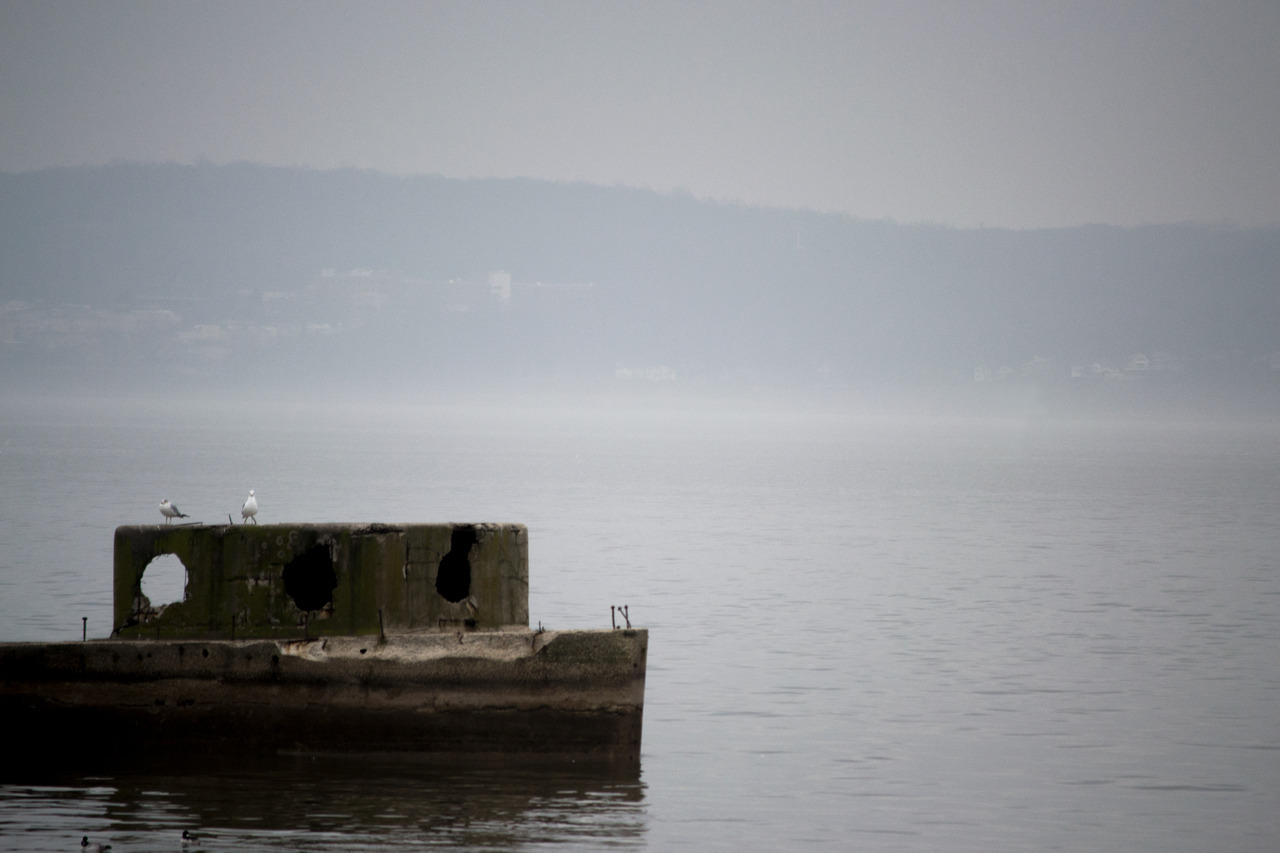 Tumblr Photo