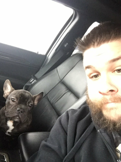 conikumanly:  Kevin Owens + Animals