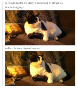 weallheartonedirection:  I wish my cat would