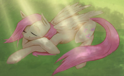 brokepegasus:  Flutternap by ~broke-pegasus