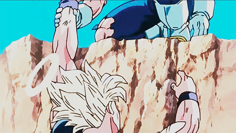 ~ MARRY A MAN WHO SMILES AT YOU LIKE VEGETA SMILES WHEN HE THINKS OF GOKU ~