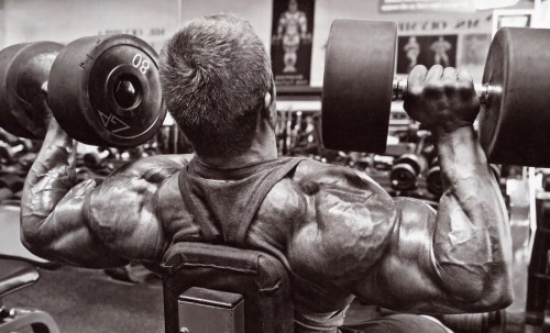 drwannabe:  Seth Feroce