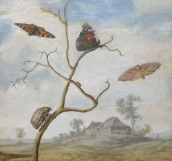 wetreesinart:  Margareta de Heer (Dutch,