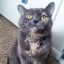 lattelady1215