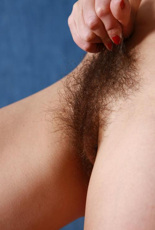 Sex thehairypussypics.com post 56614847760 pictures