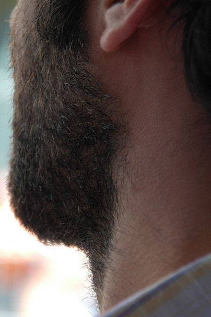 matiou: adorelespoilus:   420bate:   HAIRY BITS   Waouuu  j aimes   Sublimes tous