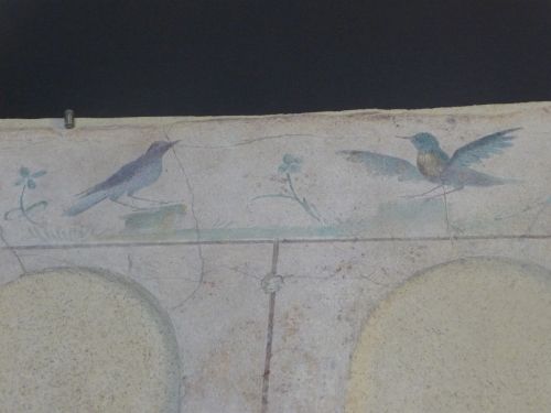 Palazzo MassimoAnother fresco detail photo. These two blue birds were among my favourites.Rome, July