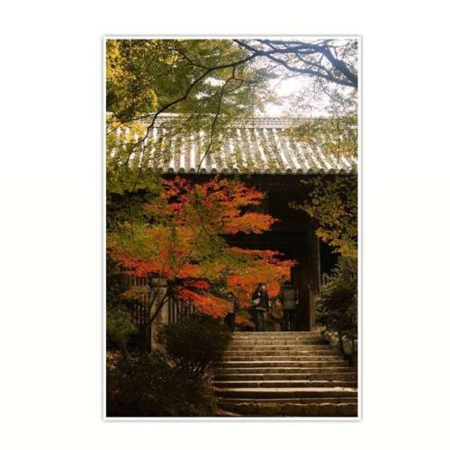 Autumn around KansaiPhilosopher’s path - KyotoMt Shosha - HimejiMt Rokko - Kobe