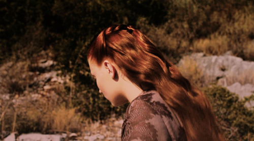 chaolwestfeel:And then there’s Sansa. Sansa Stark who named her deadly, killer direwolf Lady. And sh