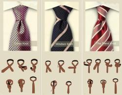 fashionforblokes:  For a comprehensive and easy-to-understand tutorial on how to tie different types of necktie knots, pop over to bows-n-ties: http://www.bows-n-ties.com/how-to-tie-a-necktie.php