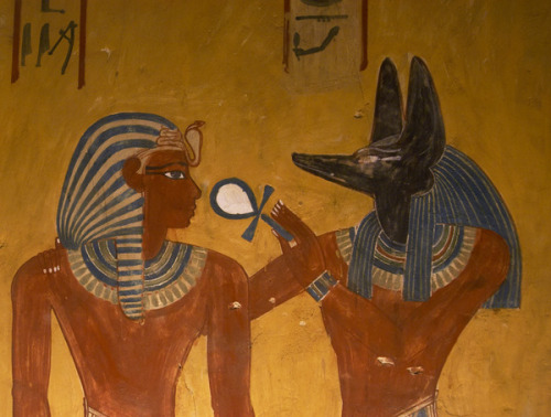 The pharaoh is received by the gods Anubis, the jackal-headed god of the dead, gives Thutmose IV an 