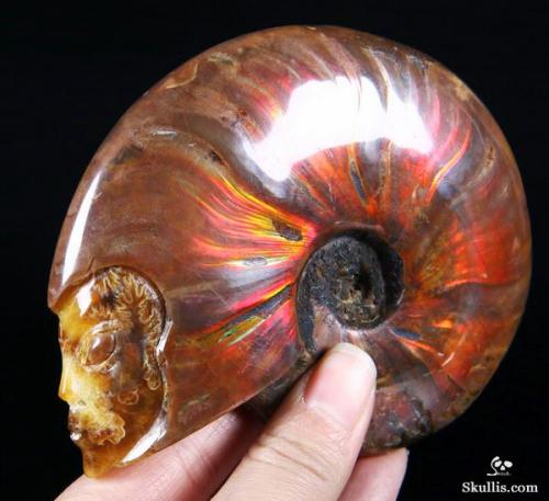mineralists - ‘Female Star Being’Carved Ammonite Fossil Skull 