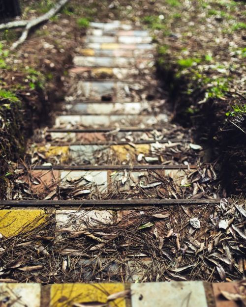 Stairway to the creek. Sali a recorrer un poco el lugar y la mejor sorpresa es esta escalera que par