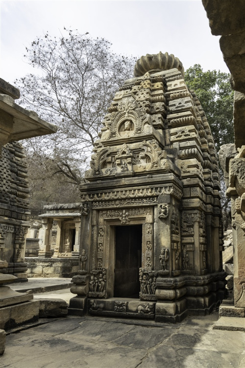 Bateshwar group of temples, Madhya Pradesh, photos by Kevin Standage 