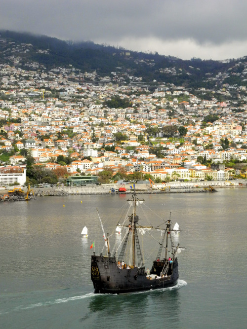 Funchal, Madeira Islands / Portugal (by UltraPanavision).