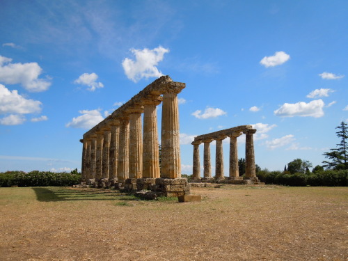 italian-landscapes:Metaponto, Basilicata, ItalyMetaponto was one of the Greek colonies in Southern I