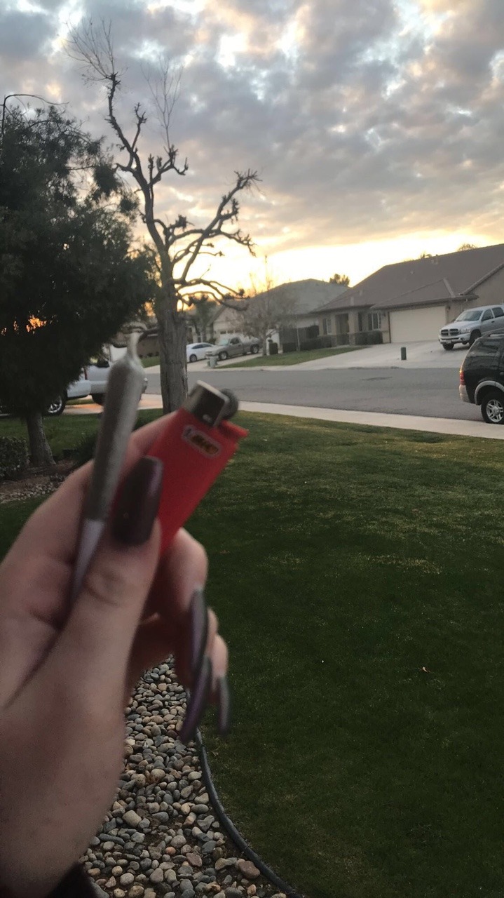 stonerzoey:  a nice day to smoke a j