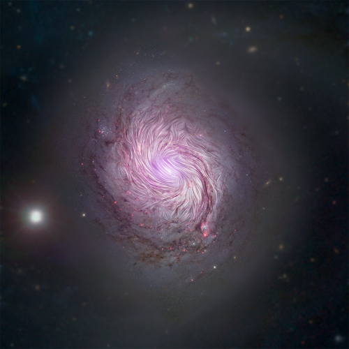 Shaping a Spiral Galaxy!Magnetic fields in NGC 1068, or M77, are shown as streamlines over a visible