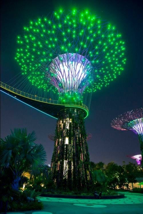 they-call-me-nita:  Tree of Lights, Singapore