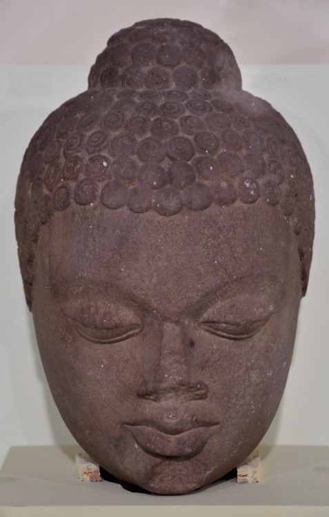 Sandstone head of the Buddha, from Sarnath, Uttar Pradesh.  Artist unknown; ca. 6th cent. CE.  Now i