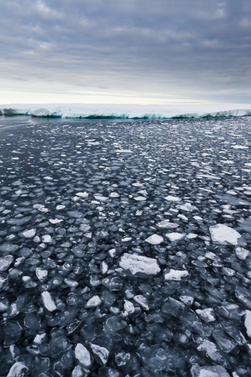 porcvpine:  Frozen Giant | Marco Gaiotti           