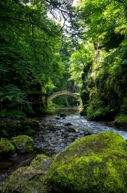 visitheworld:   Gorges de la Jordanne, Auvergne / France (by fancharmor).