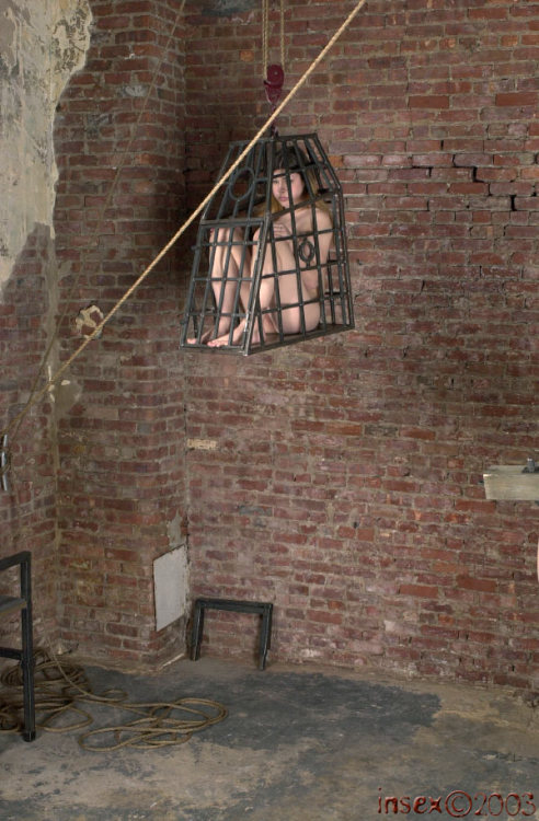 objectowner:  Cages like these are not about keeping them. A single chain and lock can do that. No, it’s about showing them how helpless they are. Strangely, they also feel more safe inside the cages.