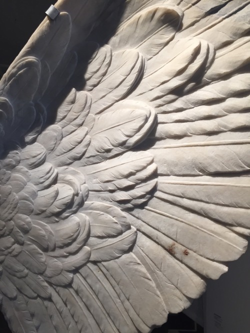 sgtpeppersofab - Marble wings, Palatine Museum.