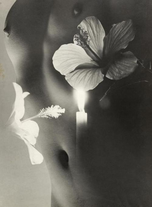 fragrantblossoms: Max Dupain (1911-1992), Nude Montage, 1930′s. 