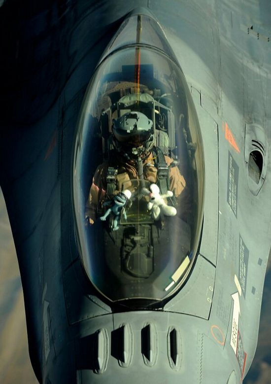 Eyes to the Skies