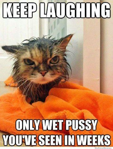 #lol #pussy ~Follow Selena Kitt on Tumblr~