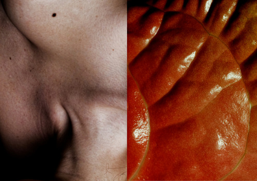 Hybrides - 2018 Denis Garnier