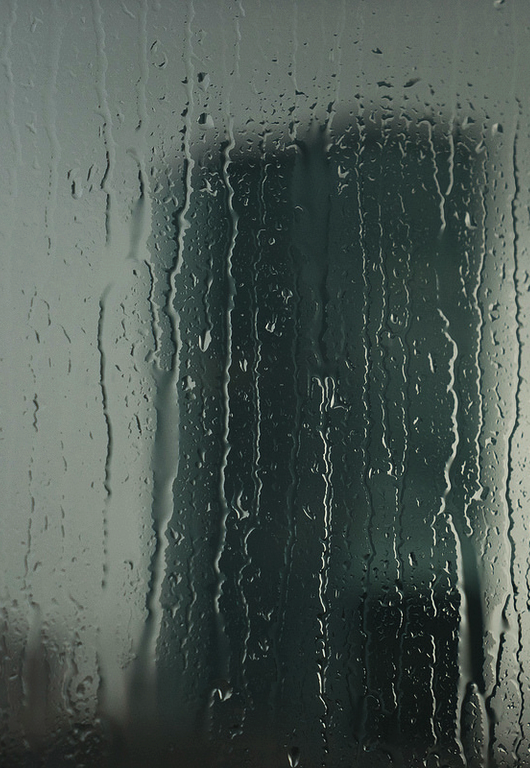 we-love-rain:  (x)