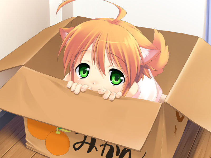 MikanThe visual novel Wanko to Kurasou is set in a world where petgirls exist, and