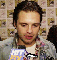 evanss-chris:  Sebastian Stan is certainly a lost Romanian puppy. 