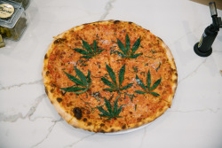 viceland:  The Pizza Show’s Frank Pinello makes weed infused dough, sauce and cheese.BONG APPETIT wednesday 10:30p