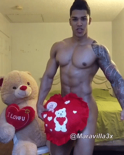 Shredded Gifs