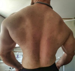 beastpup:  Bull back day.