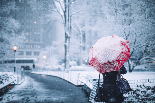 melodyandviolence:  NYC Snow Days by   Jose Tutiven   