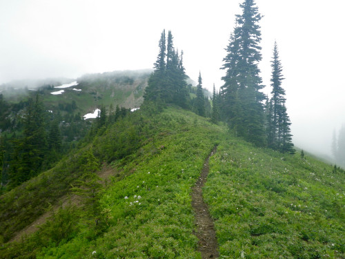 Fog from Pilot Ridge by fan kaisi